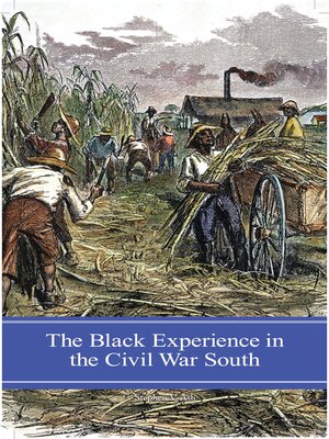 cover image of The Black Experience in the Civil War South
